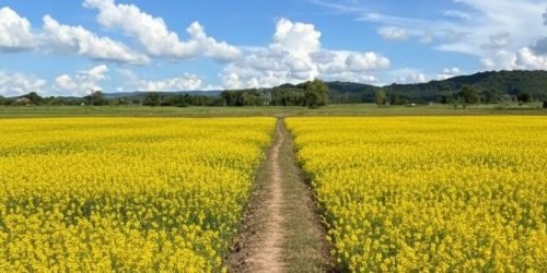 559430832_24430368146663441_4199170986051057808_n