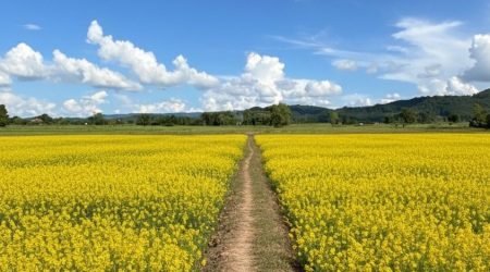 559430832_24430368146663441_4199170986051057808_n