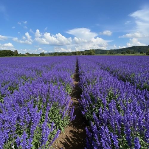 561094042_24430368529996736_5882966480333898003_n